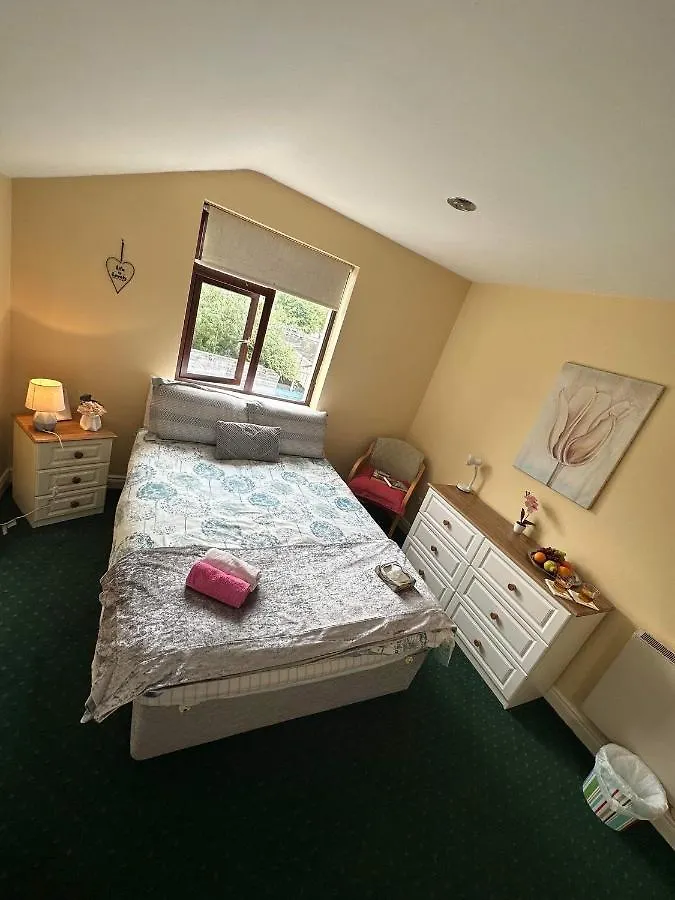 Guest house Edwards Cosy B&B Galway